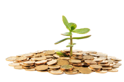 Economic Growth by BOSSED Foundation Economic Empowerment: BOSSED Mobile