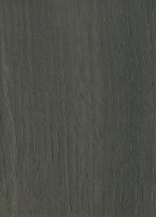 Bog Oak (sanded)