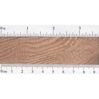 English Elm (endgrain) English Elm (endgrain)