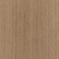 English Elm (veneer) English Elm (veneer)
