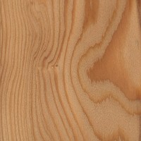 European Larch (sealed) European Larch (sealed)