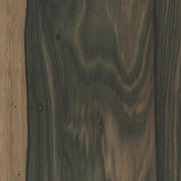 Malaysian Blackwood (Diospyros ebonasea)