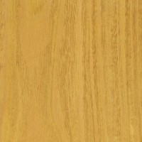 Osage Orange (sealed)