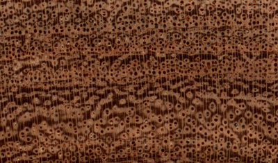 Mesquite